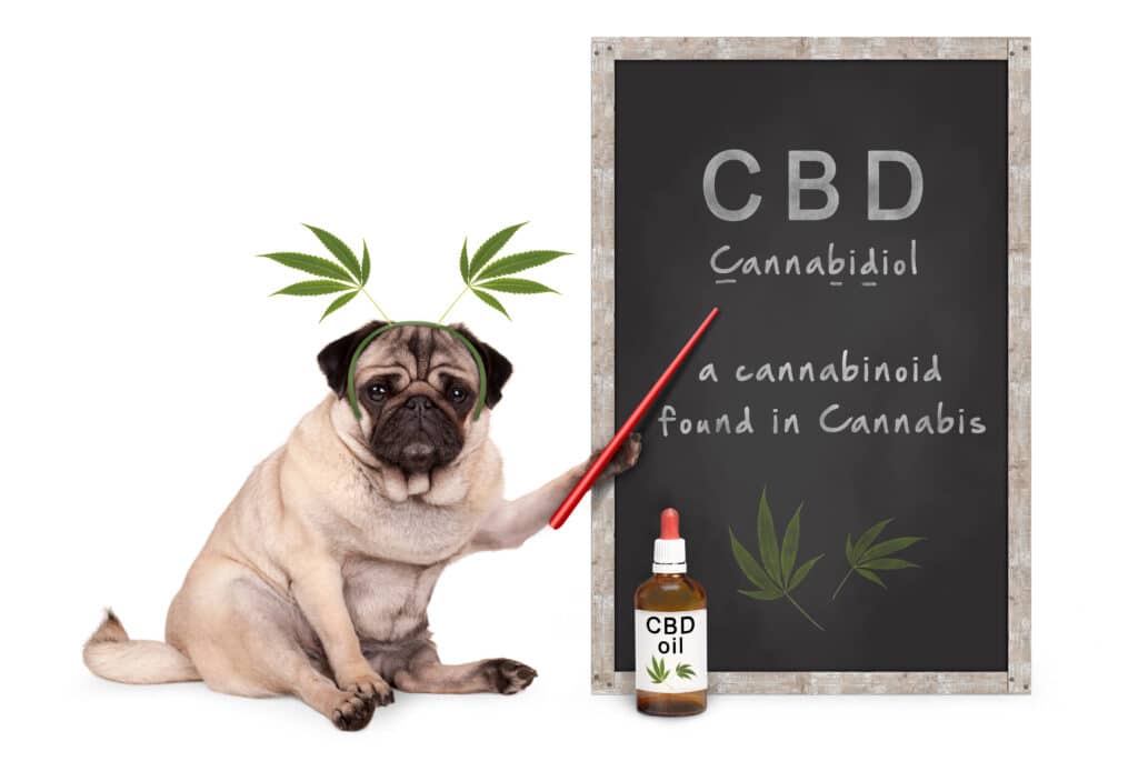 THC and CBD