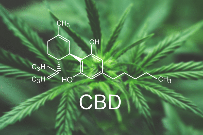 CBD and the Endocannabinoid System