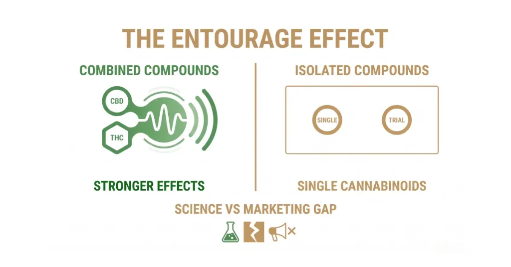 Does the Entourage Effect Actually Hold Up? The Honest Answer